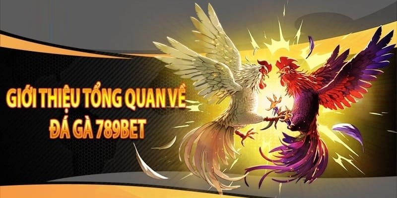 Giới thiệu vài nét cơ bản về sảnh gà đá thomo 789BET